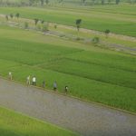 lahan food estate