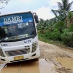 Bus Perintis