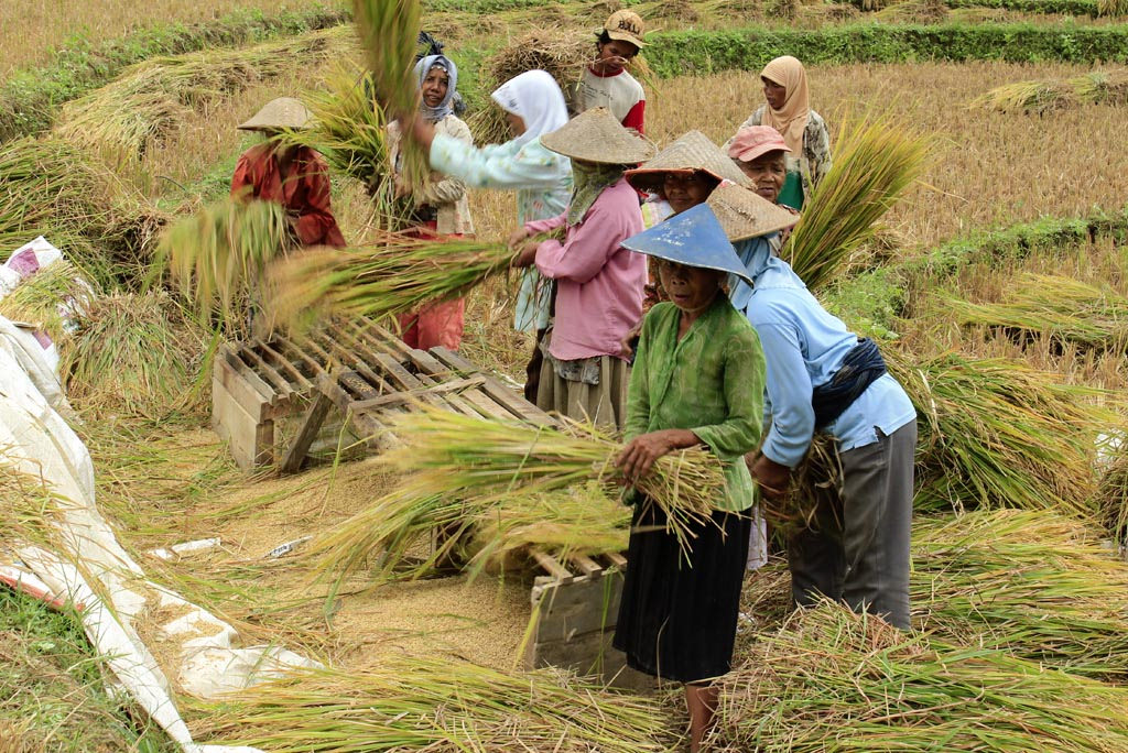 Buruh Tani