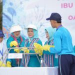 Transplantasi karang