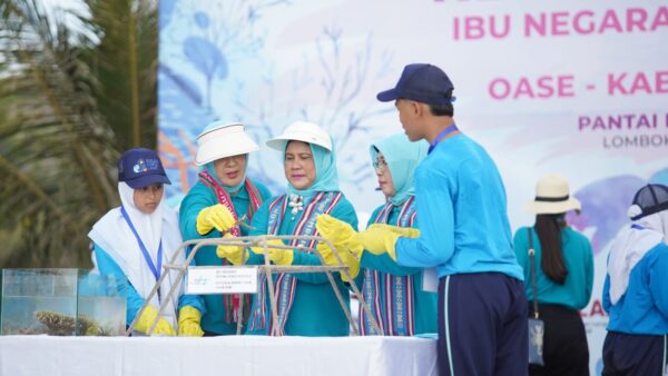Transplantasi karang
