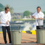 Panen ikan Nila Salin