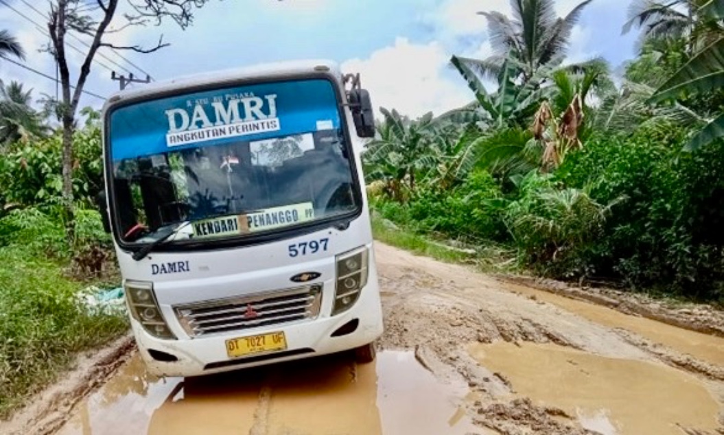 Bus Perintis