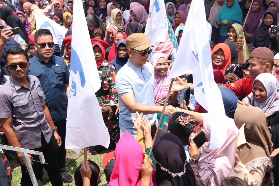 PIlkada Lamsel