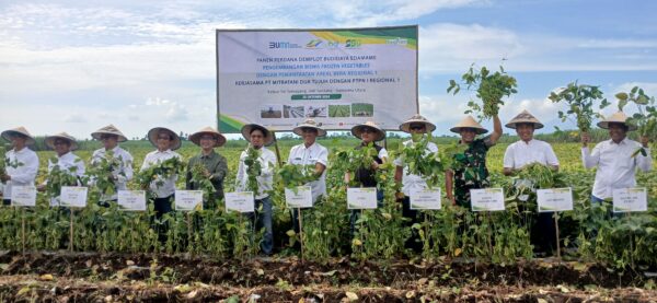 PT Mitratani Dua Tujuh sukses melaksanakan panen perdana edamame di Kebun Sei Semayang, Kabupaten Deli Serdang, Sumatra Utara Jumat 25 Oktober 2024.