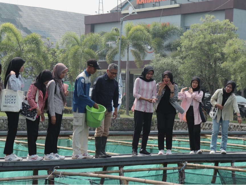 Ikan Nila