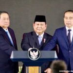Peluncuran DANANTARA