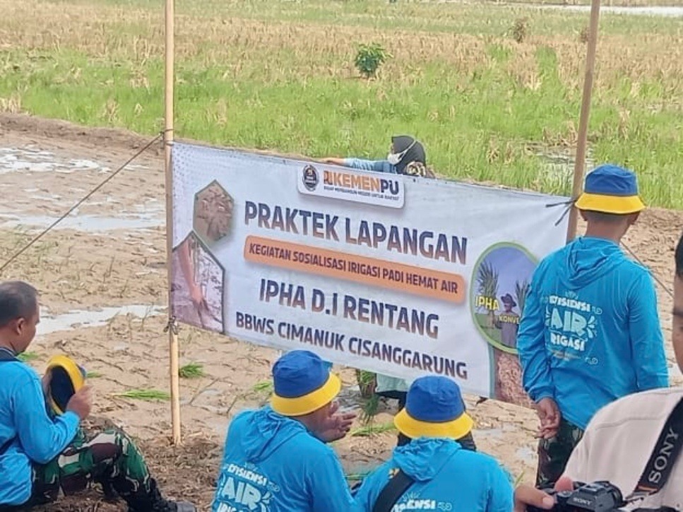 Padi hemat air