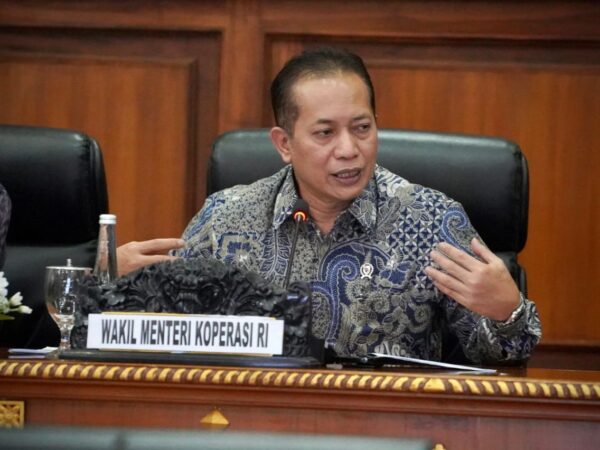 Wamen Koperasi Ferry Juliantono./