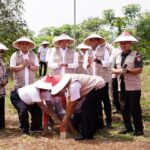 Pemasangan Patok Tanah