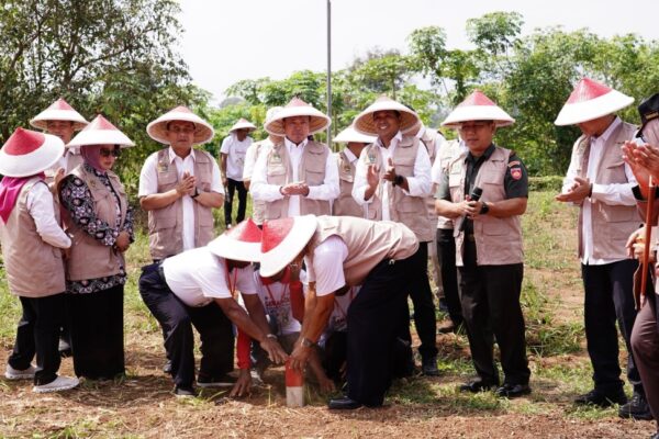 Pemasangan Patok Tanah