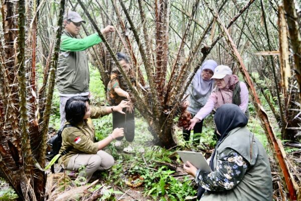 Salak Karangasem