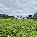 Proyek Sekolah Rakyat