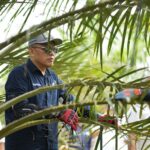 Antisipasi Kemarau