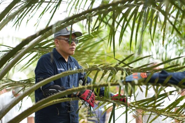 Antisipasi Kemarau