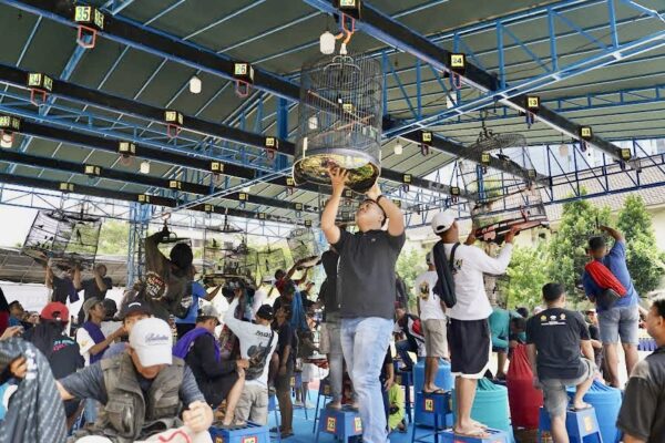 Lomba Burung