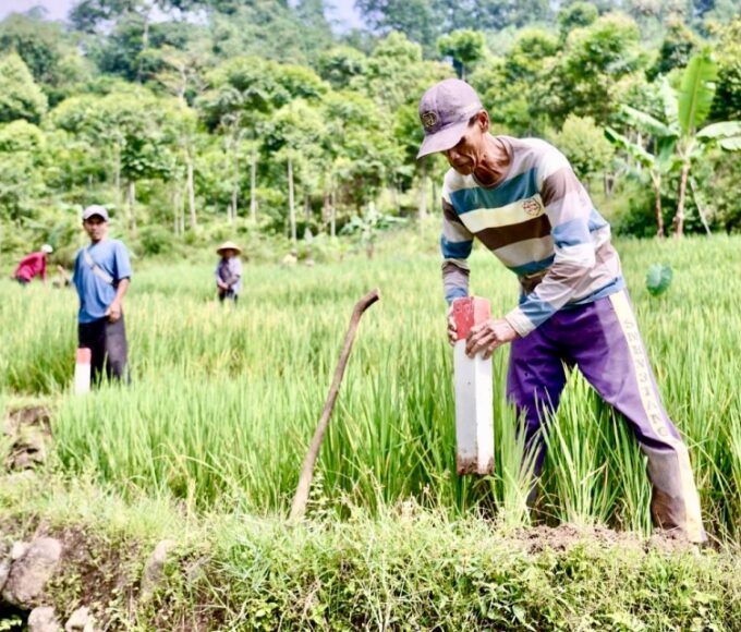 Patok Tanah