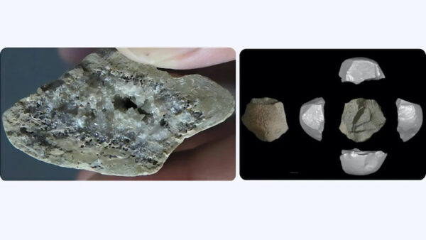 Perkakas Batu di Situs Lingjing, Tiongkok, yang diduga dari Zaman Es (dok: Field Museum)
