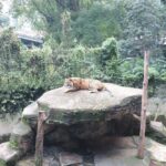 Zoo Bandung