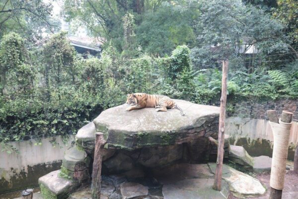 Zoo Bandung