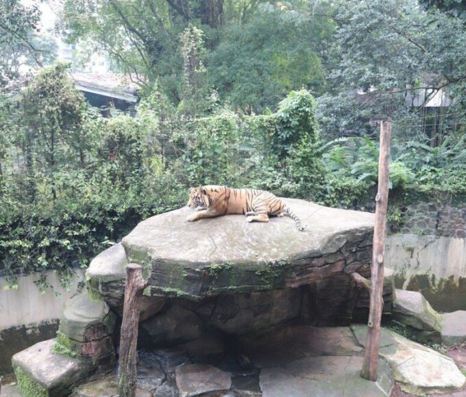 Zoo Bandung