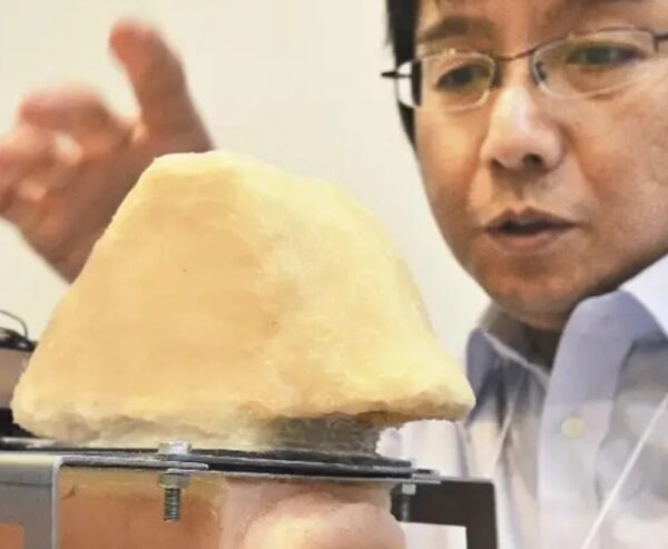 Prof. Hideyuki Sawada