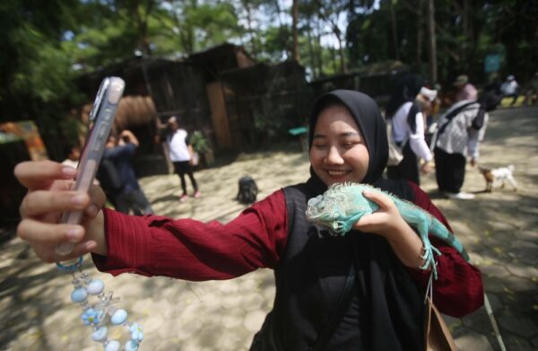 Pengunjung berinteraksi dengan hewan di kawasan Faunaland Ancol.
