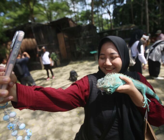 Pengunjung berinteraksi dengan hewan di kawasan Faunaland Ancol.