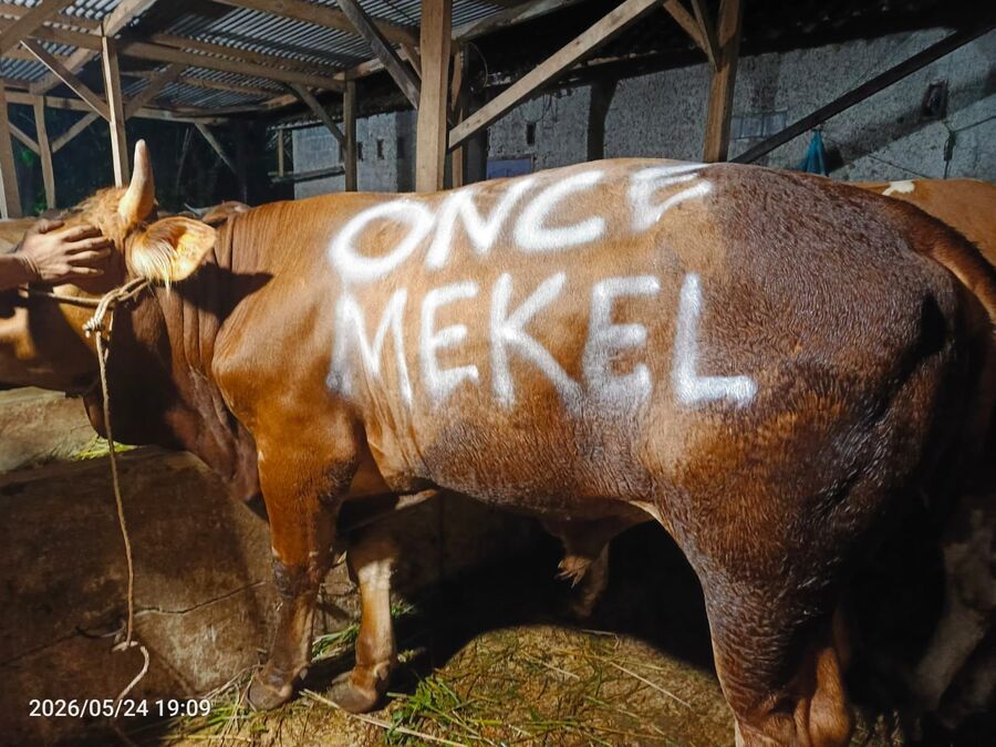 Once serahkan hewan kurban