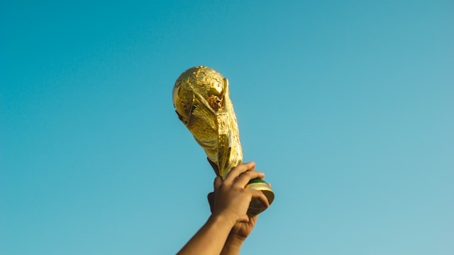 Piala Dunia (ilustrasi/unsplash/fauzansaari)