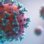 Ilustrasi Virus Korona (dok:Fusion Medical Animation/Unsplash)