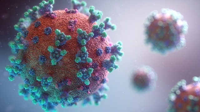 Ilustrasi Virus Korona (dok:Fusion Medical Animation/Unsplash)