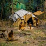 Neanderthal (ilustrasi/unsplash/meressa chartrand)