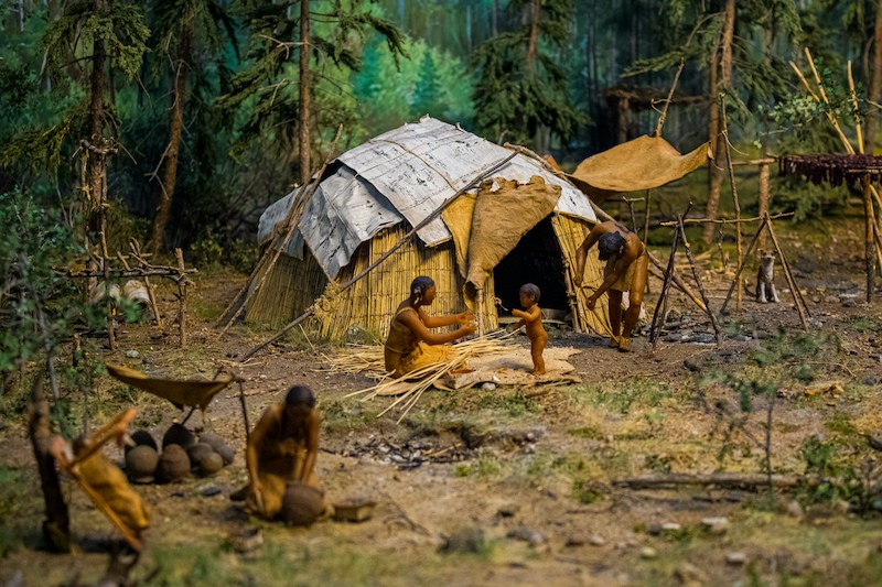 Neanderthal (ilustrasi/unsplash/meressa chartrand)