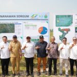 Peninjauan lokasi lahan PTPN I Regional 7, yang akan ditanami sorgum di Kebun Rejosari, Natar, Lampung Selatan.(dok:PTPN)