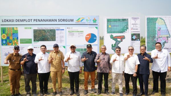 Peninjauan lokasi lahan PTPN I Regional 7, yang akan ditanami sorgum di Kebun Rejosari, Natar, Lampung Selatan.(dok:PTPN)