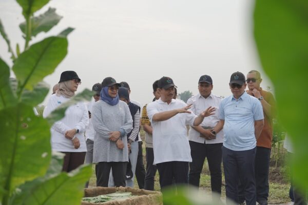 Dewan Komisaris dan Diresi PTPN I Tinjau Perkebunan Deli. (dok:PTPN)
