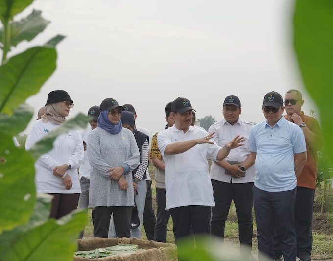 Dewan Komisaris dan Diresi PTPN I Tinjau Perkebunan Deli. (dok:PTPN)