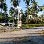 Perkebunan PTPN I di Tananahu, Maluku Tengah. (dok:PTPN)