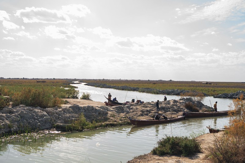 Rawa-rawa Mesopotamia yang kini berada di wilayah Irak Selatan. (dok: Unsplash/hasan Majed)