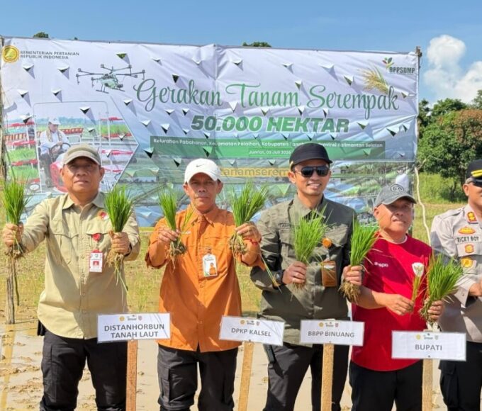 Tanam 50 Ribu ha