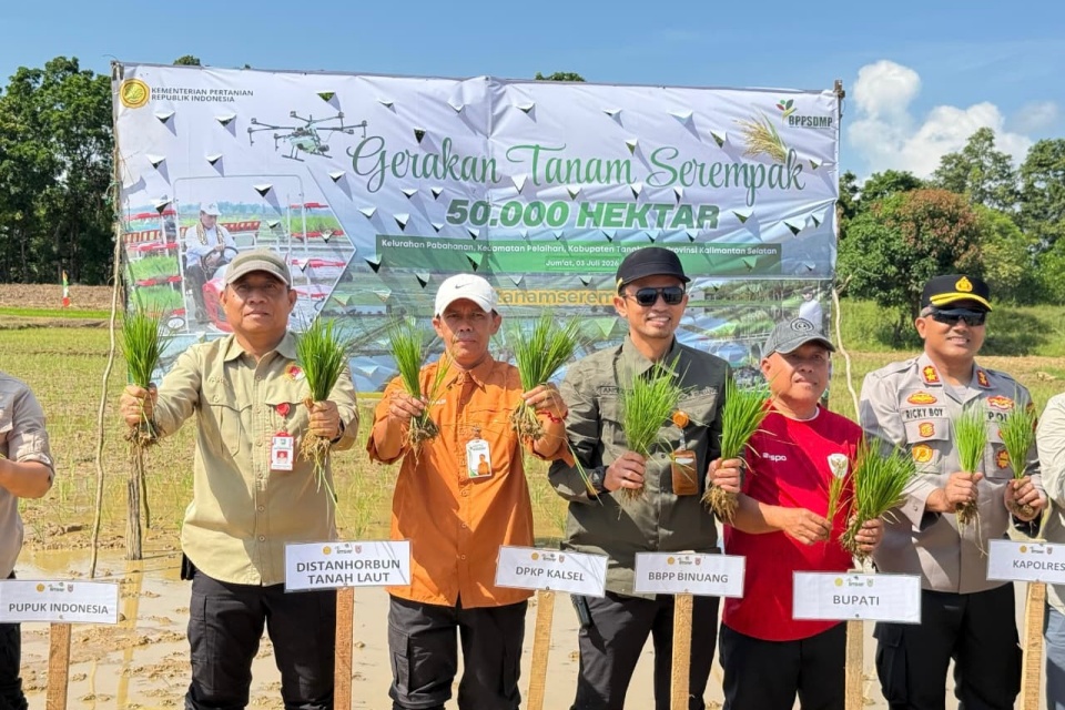 Tanam 50 Ribu ha