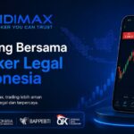 Didi Max
