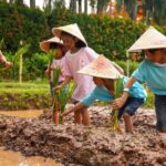 Eksplorasi Maksimal Saat Anak Mencoba Menanam Padi Dalam Acara Cap Kaki Tiga Anak Playdate