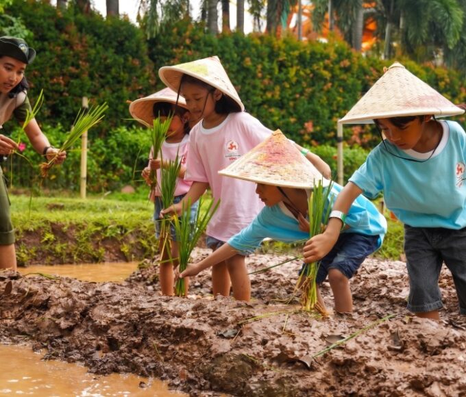 Eksplorasi Maksimal Saat Anak Mencoba Menanam Padi Dalam Acara Cap Kaki Tiga Anak Playdate