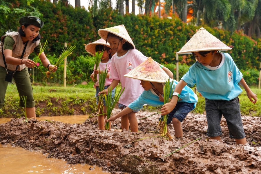 Eksplorasi Maksimal Saat Anak Mencoba Menanam Padi Dalam Acara Cap Kaki Tiga Anak Playdate