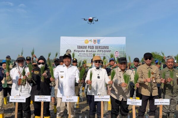 Tanam Padi Bersama