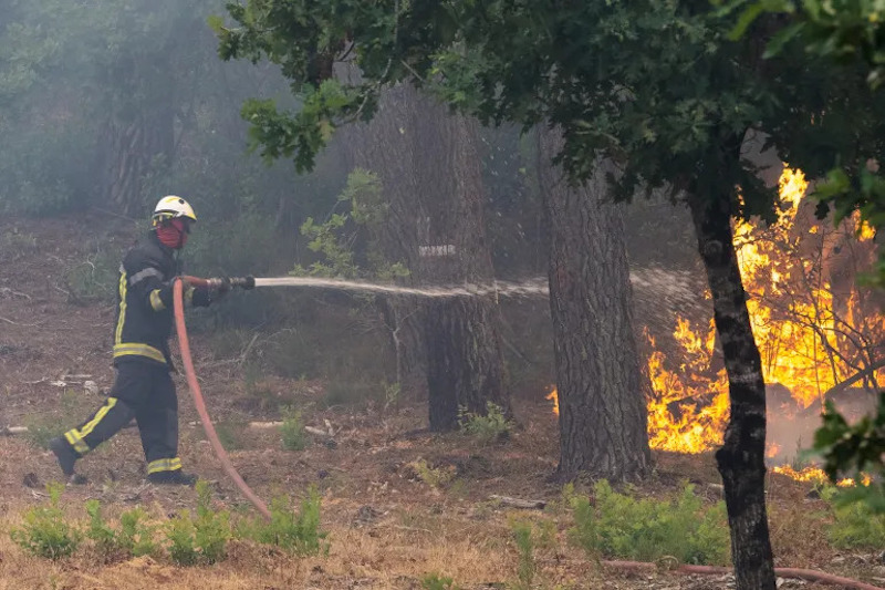 Seorang petugas pemadam kebakaran menyemprotkan air ke hutan yang terbakar di wilayah Lege-Cap-Ferret, Prancis barat, pada 24 Juli 2026 [Caroline Blumberg/AP]