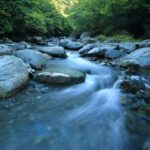 Air yang mengalir di sebuah sungai (Ilustrasi: Unsplash/Kazuend)