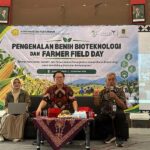 Kegiatan Farmer Field Day (FFD) Pengenalan Benih Bioteknologi yang diadakan Kementtrian Pertanian. (Dok:Kementan)